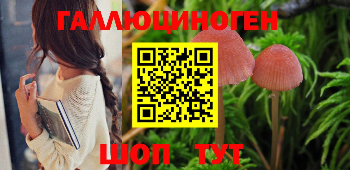 Псилоцибиновые грибы прущие грибы  Псилоцибиновые грибы GOLDEN TEACHER  Вход с VPN  где можно купить наркотик  Кыштым 