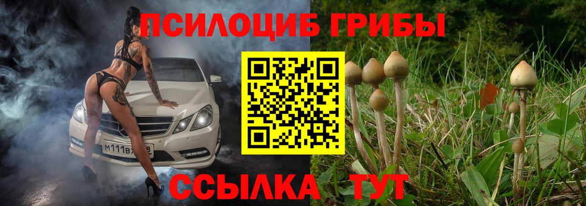 Псилоцибиновые грибы мицелий Кыштым